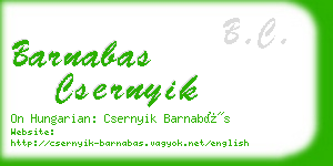 barnabas csernyik business card